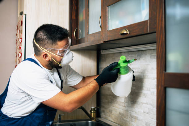 Best Wasp Removal Services  in Edgewater, NJ
