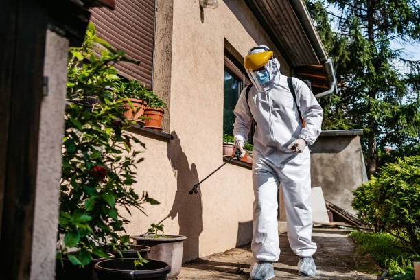 Best Bird Control  in Edgewater, NJ