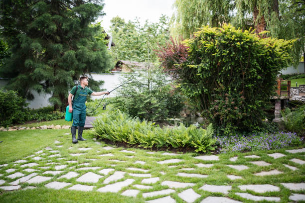 Best Pest Control Near Me  in Edgewater, NJ