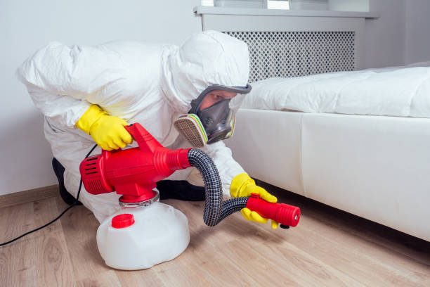 Insect Control in Edgewater, NJ
