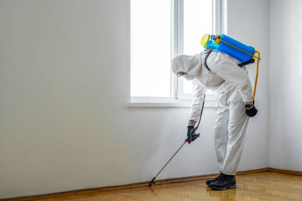 Best Commercial Pest Control Services  in Edgewater, NJ