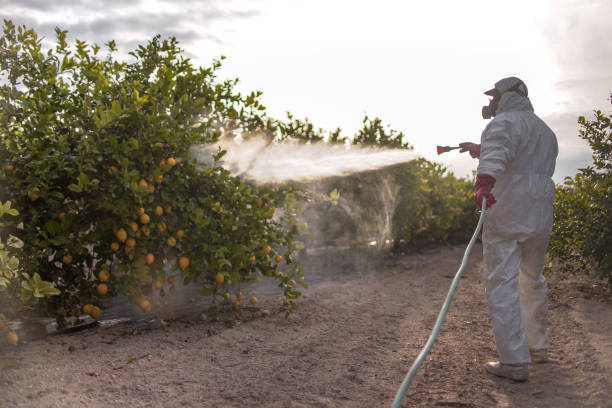 Best Emergency Pest Control  in Edgewater, NJ