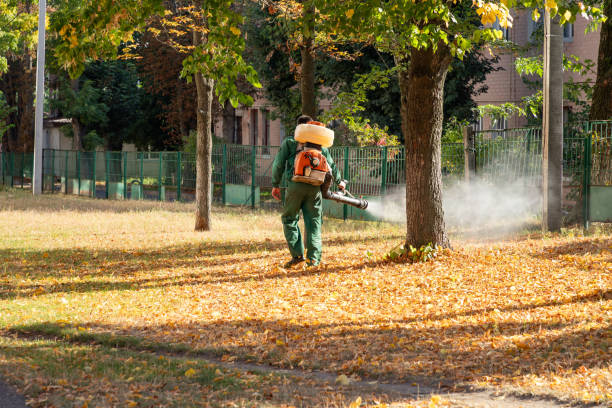 Edgewater, NJ Pest Control Company