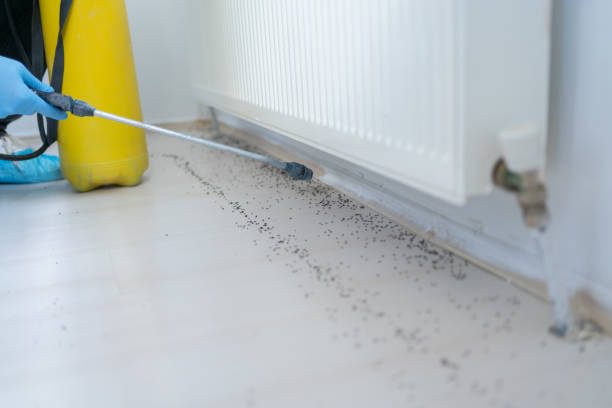 Best Pest Prevention Services  in Edgewater, NJ